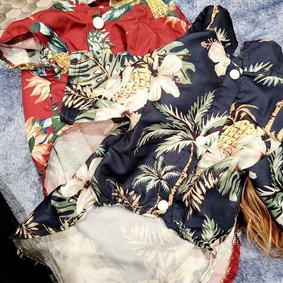 More doggie clothes - Picture 2 of 7